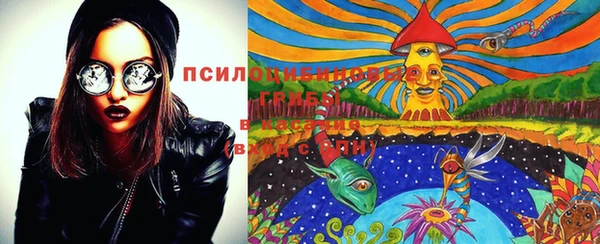 МДПВ Лиски