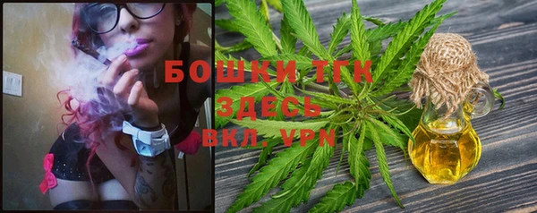 МДПВ Лиски