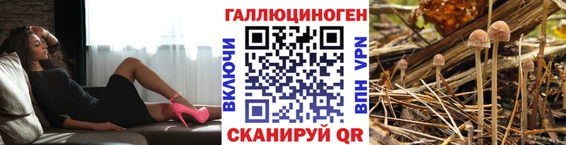 Галлюциногенные грибы мухоморы  mega вход  Йошкар-Ола 